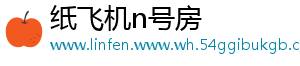 纸飞机n号房